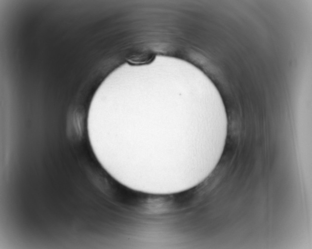 X0000088150070200706111451