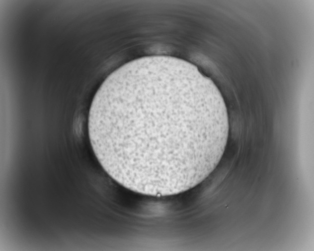 X0000088150071200706111451