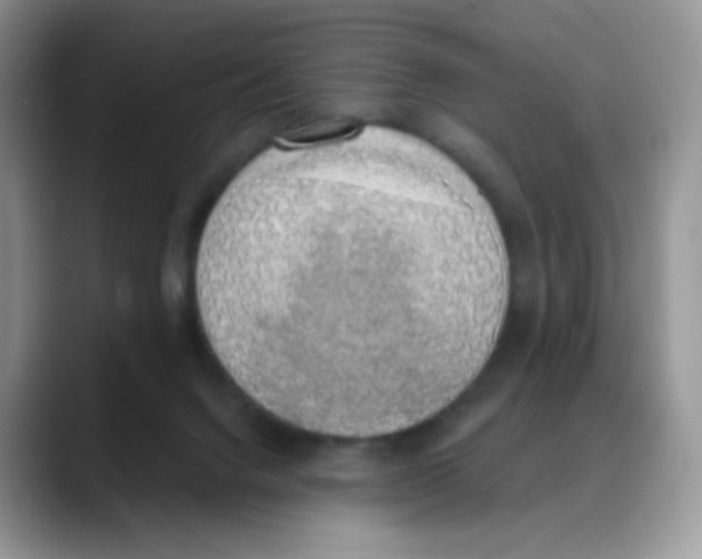 X0000088150072200706111451