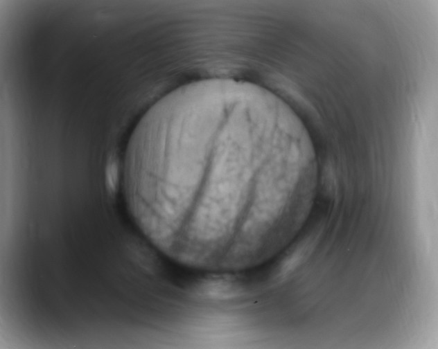 X0000088150076200706111451