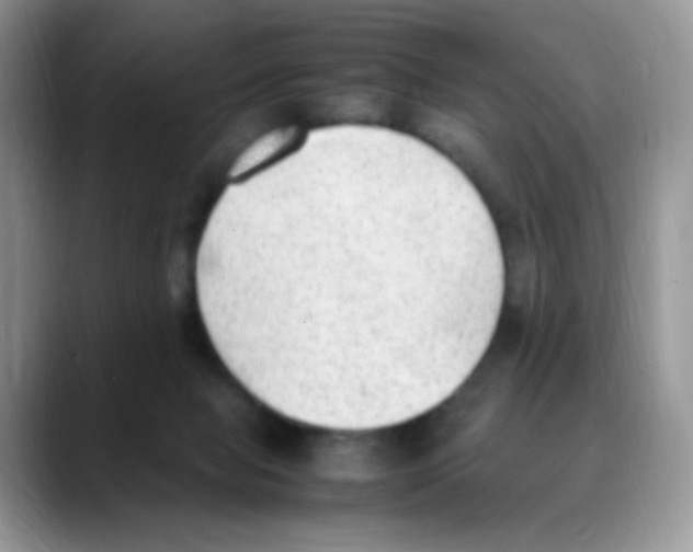 X0000088150077200706111451