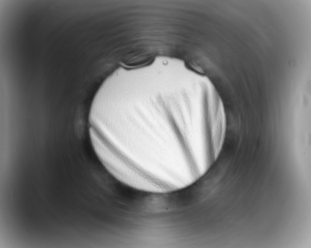 X0000088150080200706111451