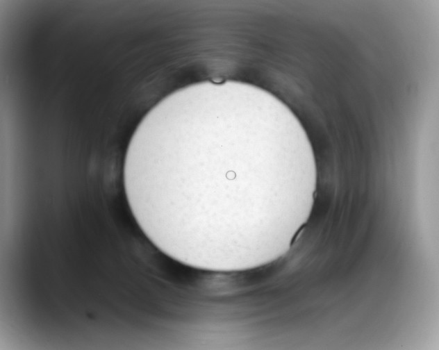 X0000088150082200706111451