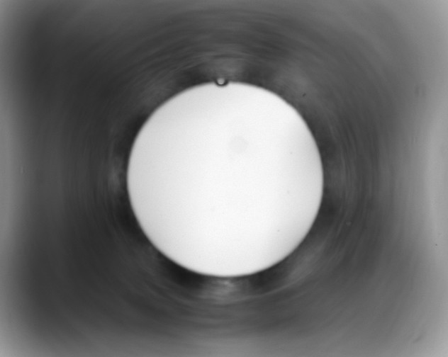 X0000088150083200706111451