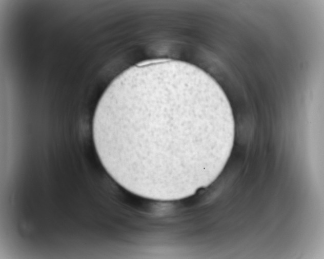 X0000088150085200706111451