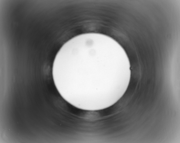 X0000088150087200706111451