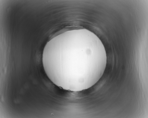 X0000088150092200706111451