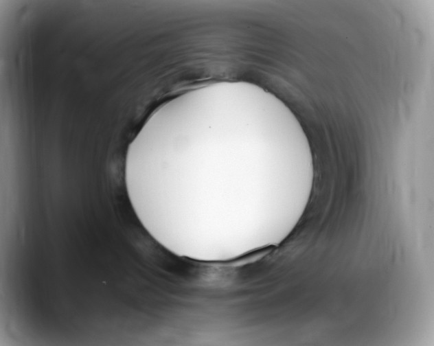 X0000088150096200706111451