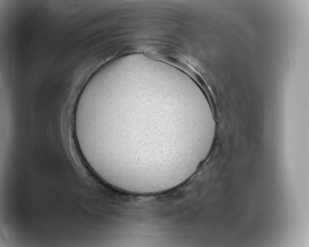 X0000088150097200706111451