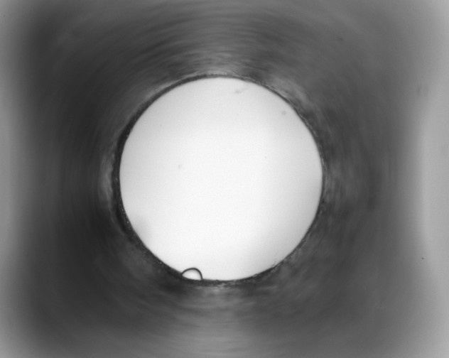 X0000088150098200706111451