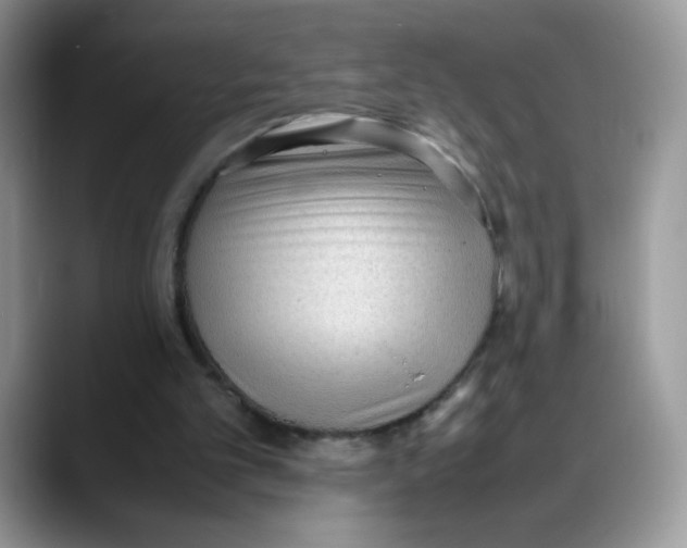 X0000088150101200706111450