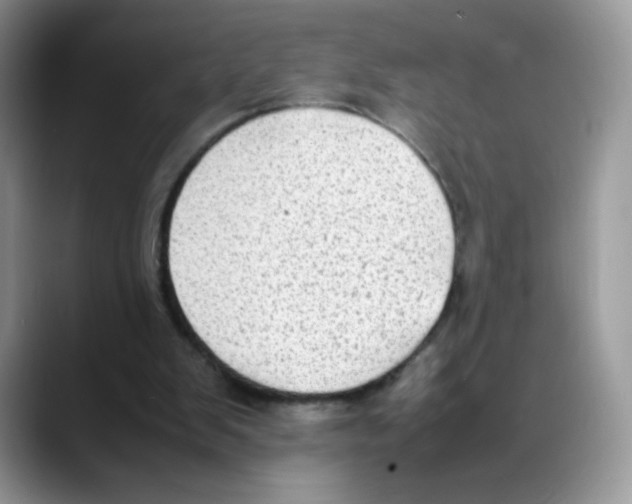 X0000088150103200706111450