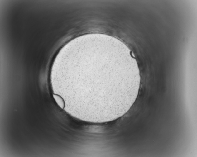 X0000088150104200706111450