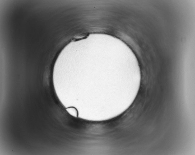 X0000088150107200706111450