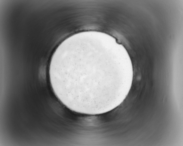 X0000088150108200706111450