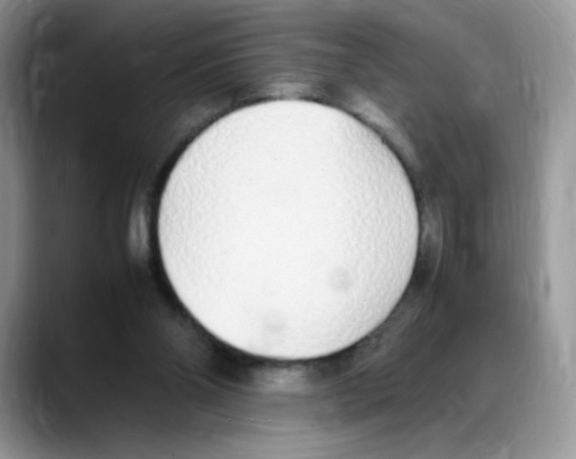 X0000088150110200706111450