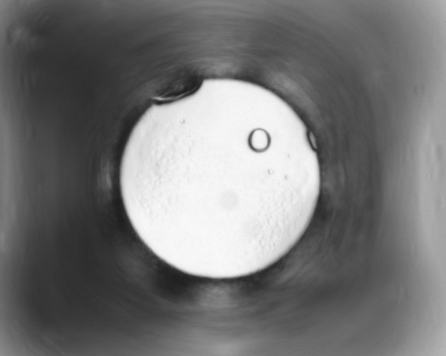 X0000088150115200706111450