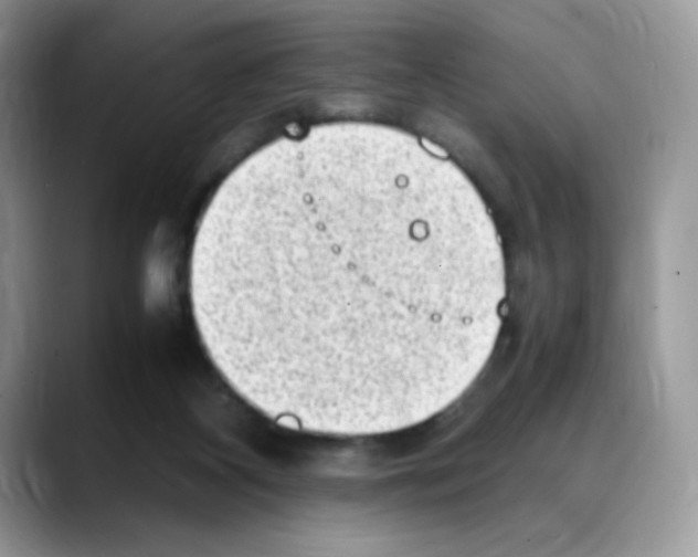 X0000088150116200706111450