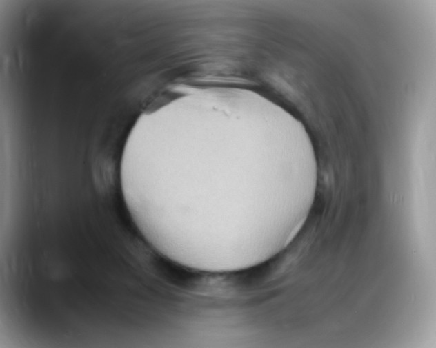 X0000088150117200706111450