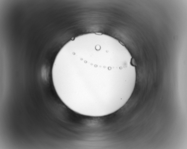 X0000088150118200706111450