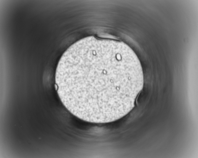 X0000088150119200706111450