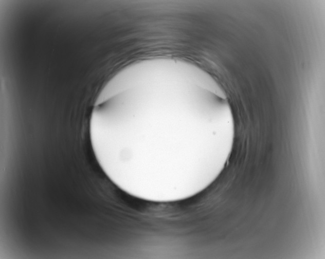 X0000088150125200706111450