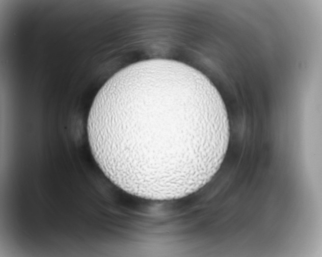 X0000088150130200706111450