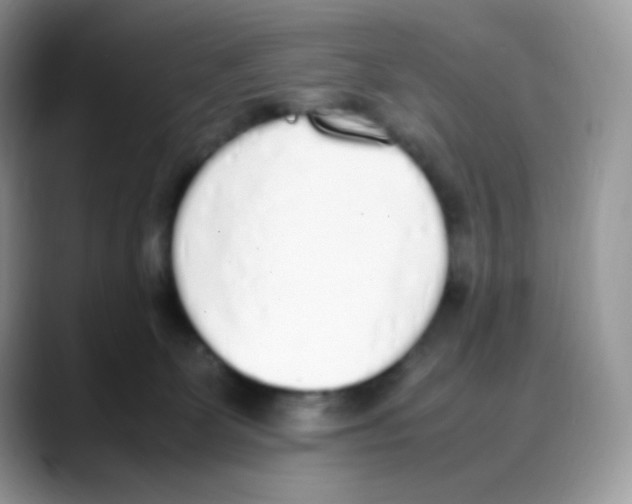 X0000088150131200706111450