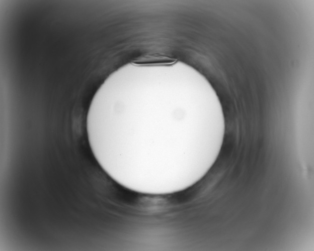 X0000088150133200706111450