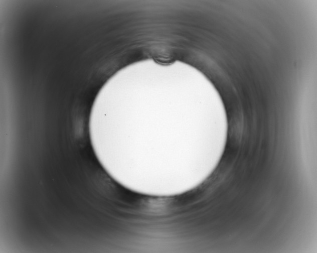 X0000088150134200706111450