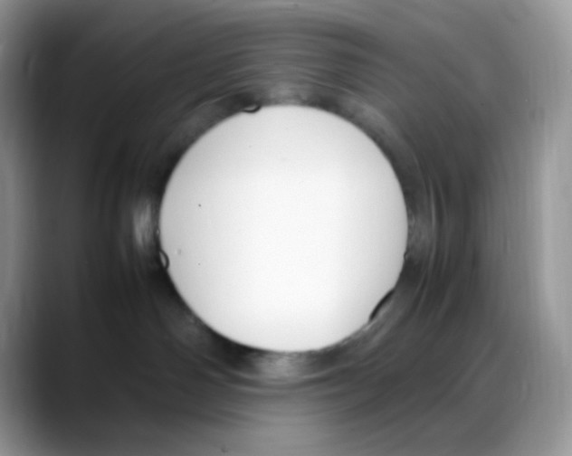 X0000088150142200706111450