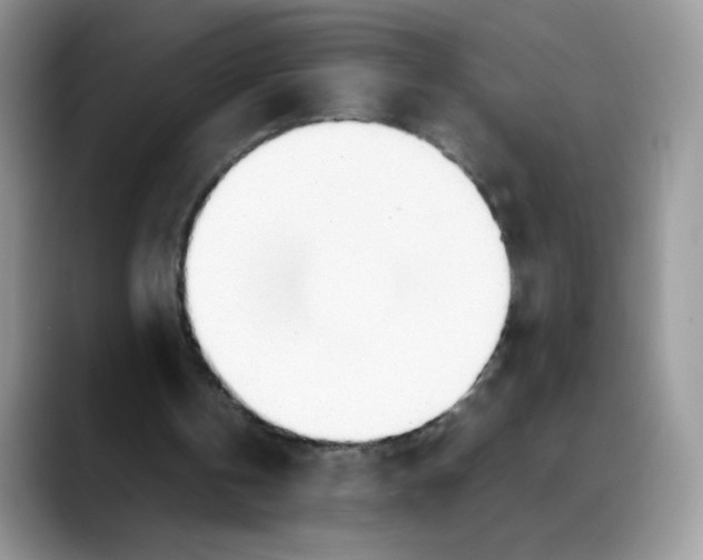 X0000088150146200706111449