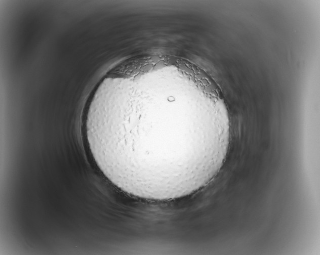 X0000088150147200706111449