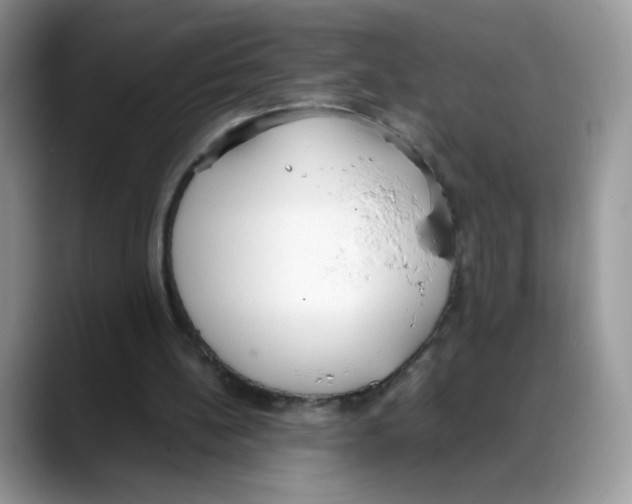 X0000088150148200706111449