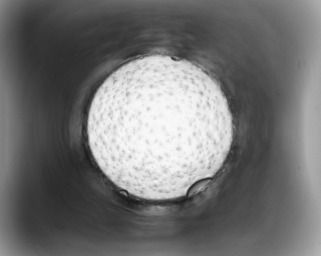 X0000088150149200706111449