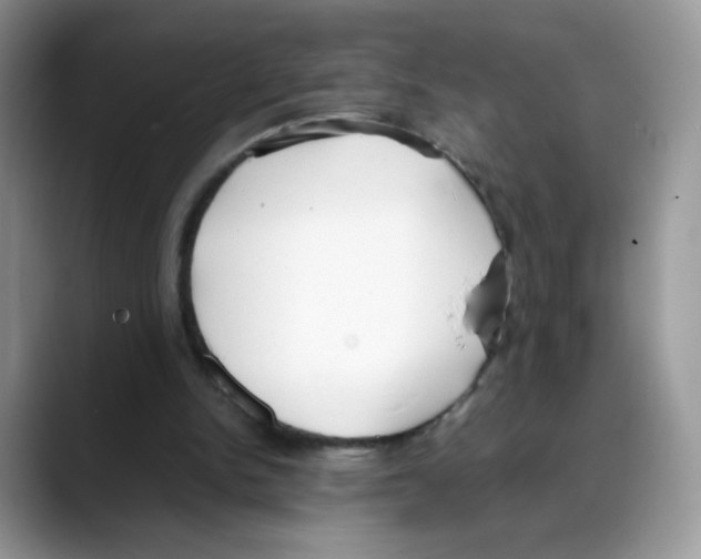 X0000088150150200706111449