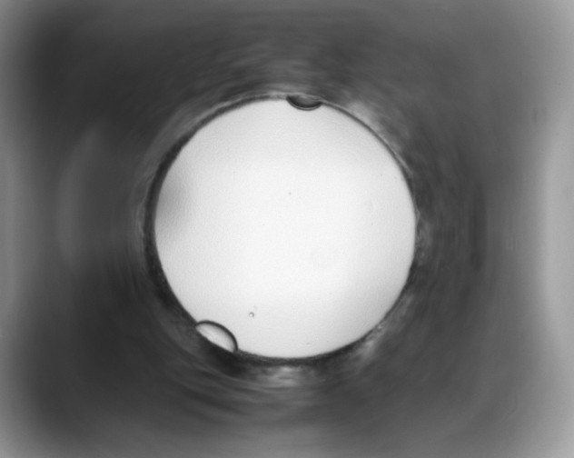 X0000088150151200706111449