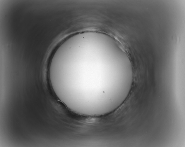 X0000088150152200706111449