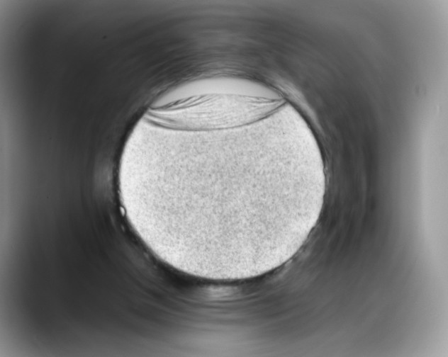 X0000088150154200706111450