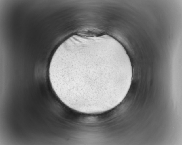 X0000088150156200706111450