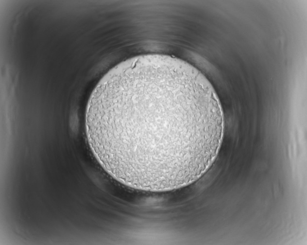 X0000088150158200706111450