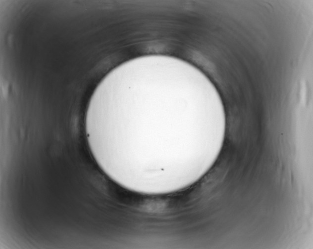 X0000088150161200706111450