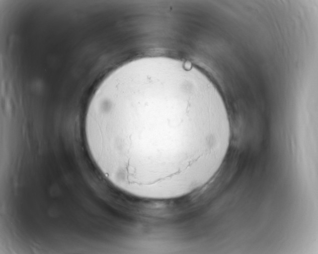 X0000088150162200706111450