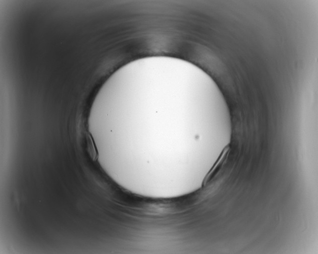 X0000088150164200706111450