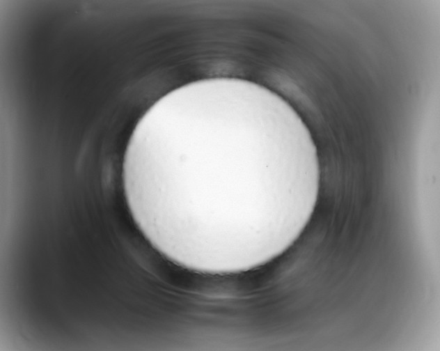 X0000088150165200706111450