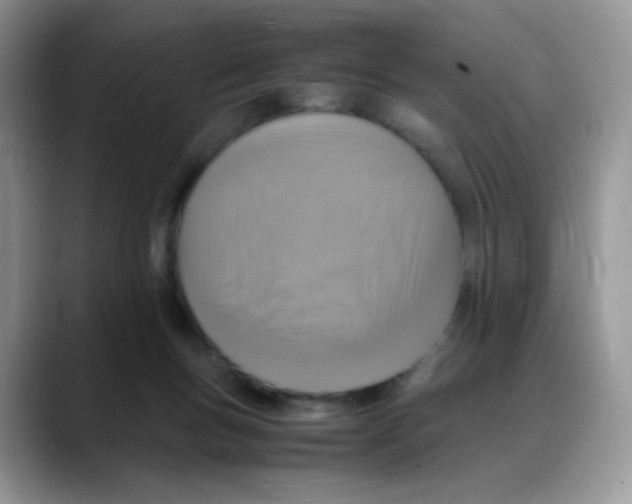 X0000088150167200706111450