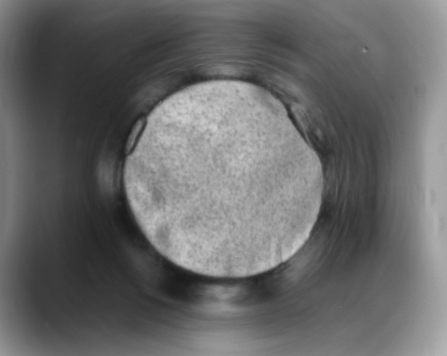 X0000088150168200706111450