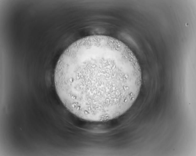 X0000088150169200706111450