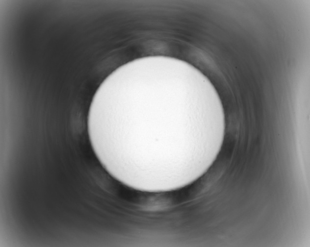 X0000088150173200706111450