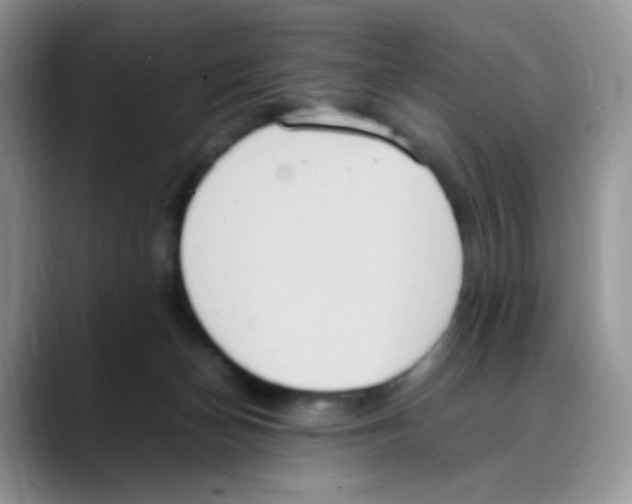 X0000088150174200706111450